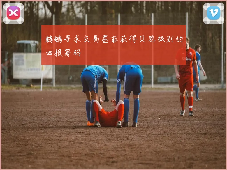 鹈鹕寻求交易墨菲获得贝恩级别的回报筹码